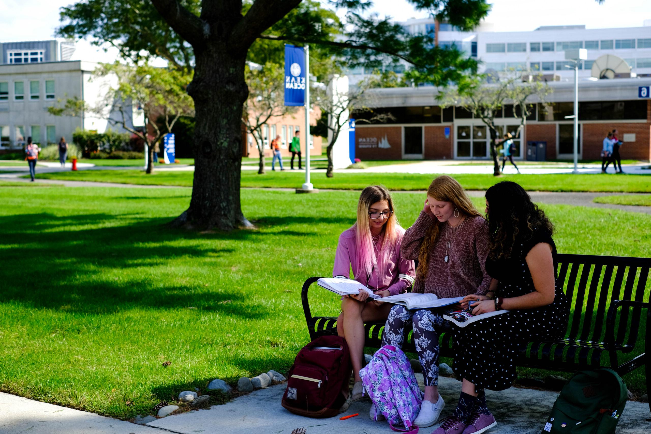 students studying at a bench